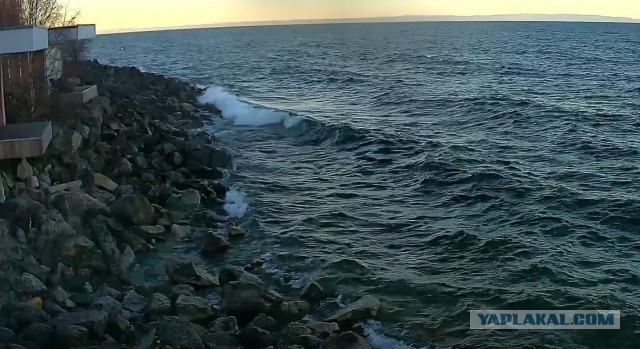 А может быть поделимся печальной красотой?