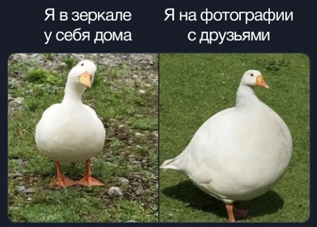 Немного картинок для настроения - 114