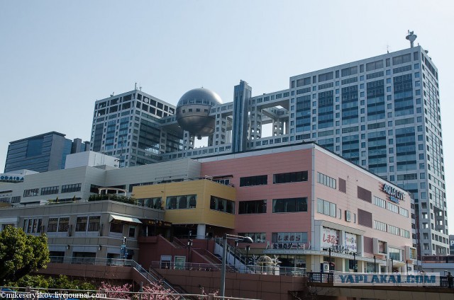 Япония. Прибытие. Музей "Toyota"