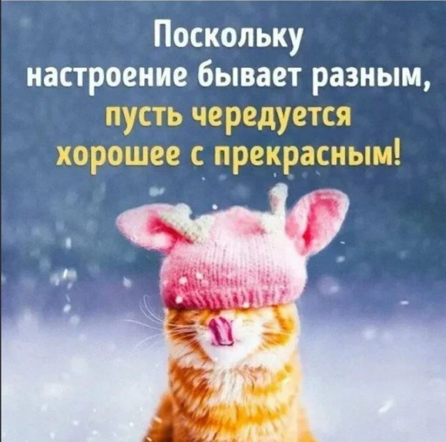 Победная поступь идиотизма по планете – том 7