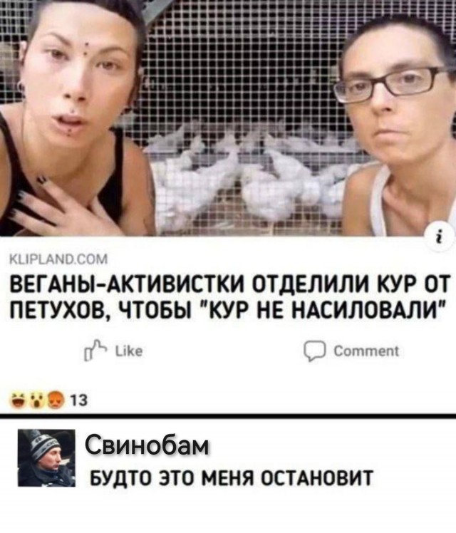 Чуток картинок 25.05.23