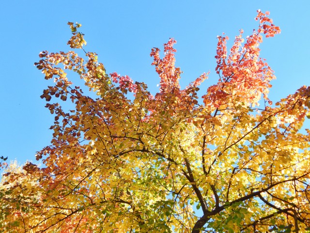 Природа Южного Урала