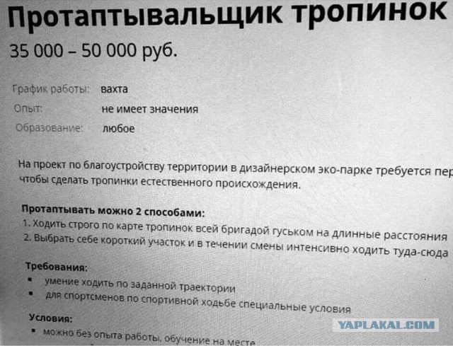 Нашлись конкуренты по уровню ЗП для айтишников