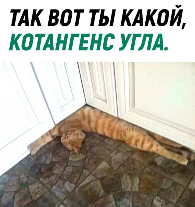 Маленькая пятница.
