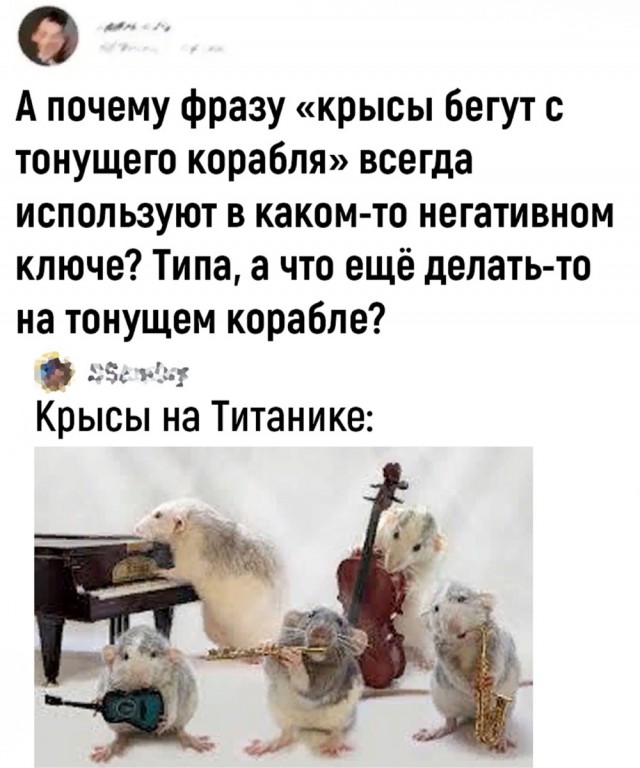 Так себе картинки 06.12.23