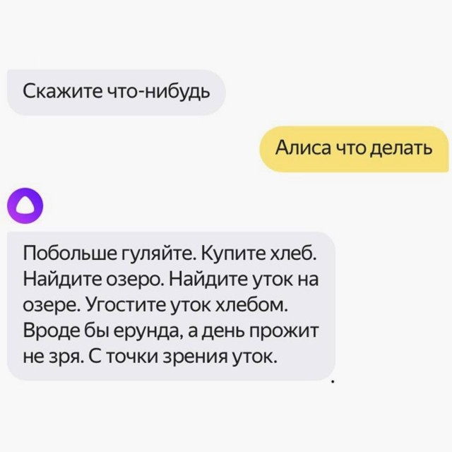 Картинок разной степени еб@нутости пост.