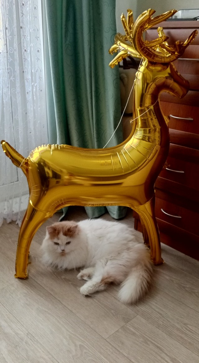 Хотите верьте, хотите нет