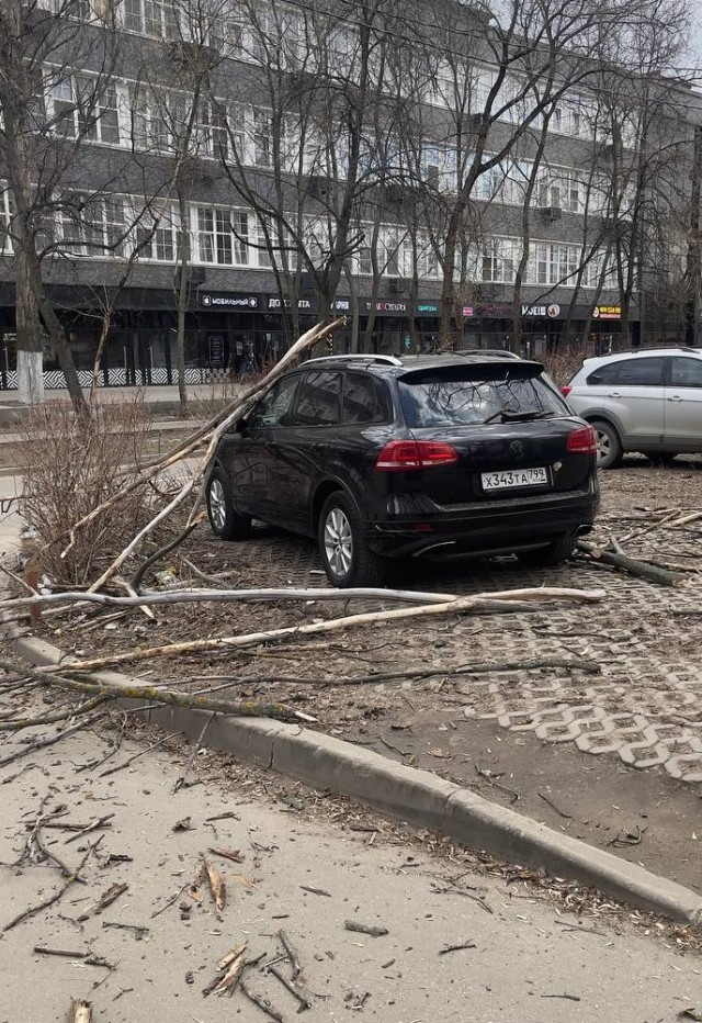 Жителям Москвы порекомендовали меньше находиться на улице – МЧС выпустило экстренное предупреждение об усилении ветра до 21 м/с
