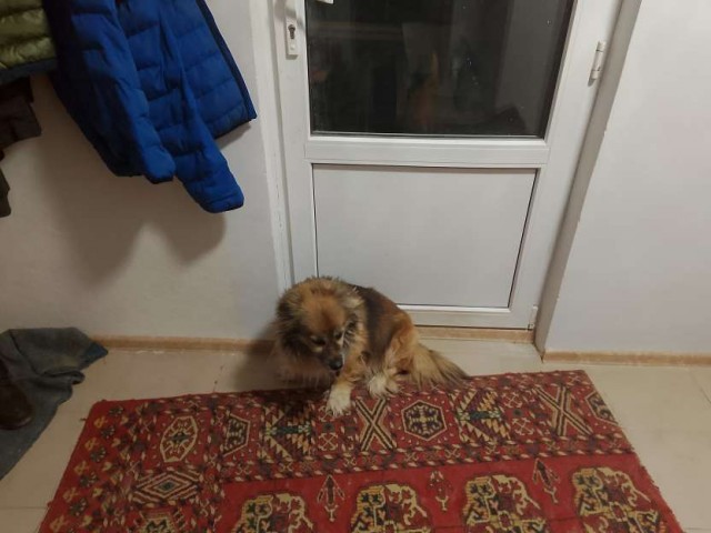 Сборник рассказов ЯПовских авторов. Обсуждение проблемы.