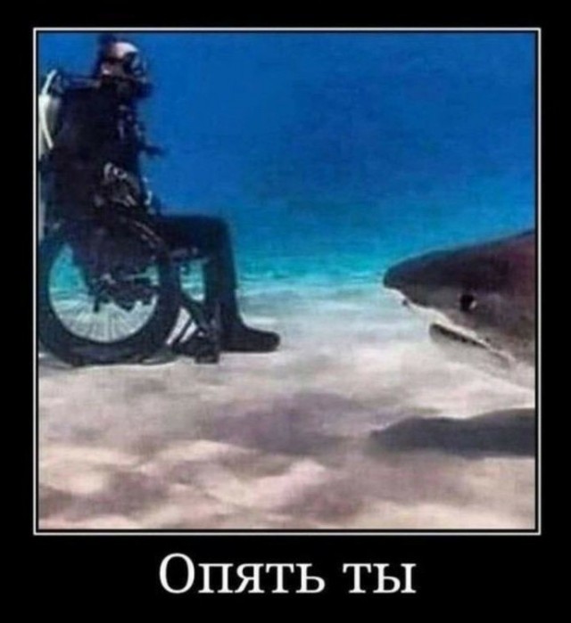 Так себе картинки 17.04.24