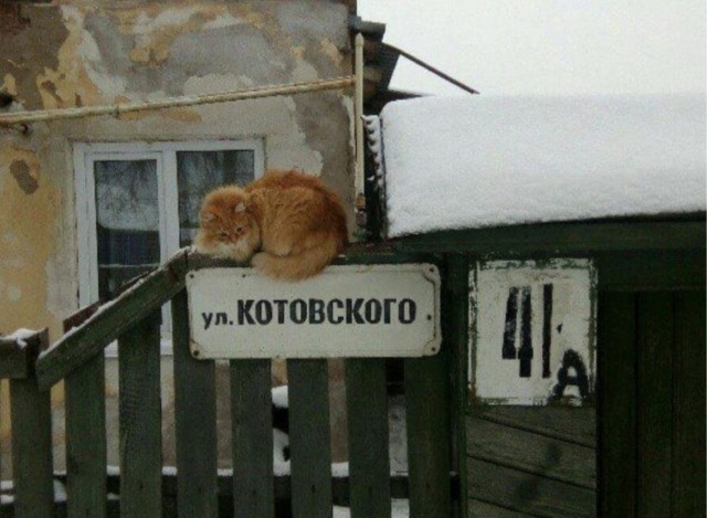 На недельку подальше от всех...
