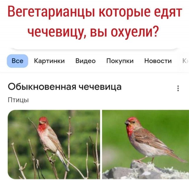 Деграднём?