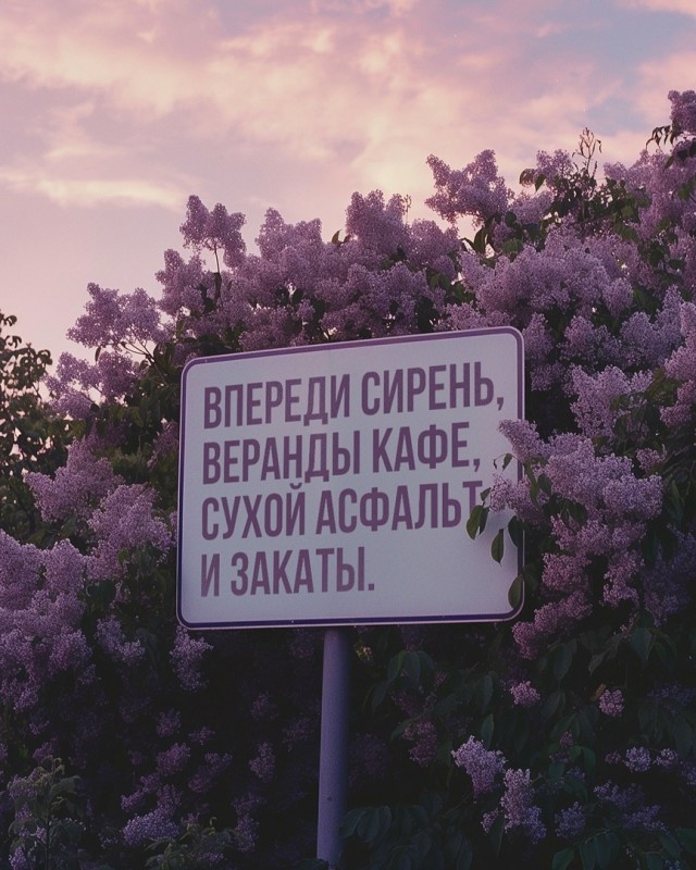 Так себе картинки 31.05.24