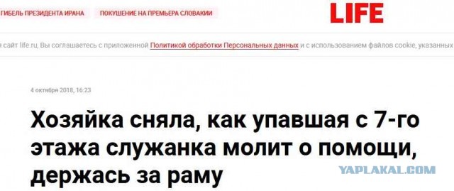 Хозяйка сняла, как падающая с 7-го этажа служанка молит о помощи, держась за раму