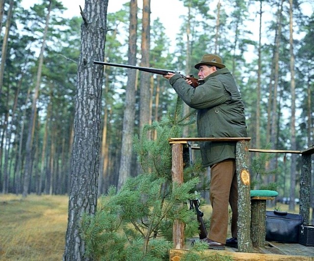 Кто, кто?! Ильич в пальто!
