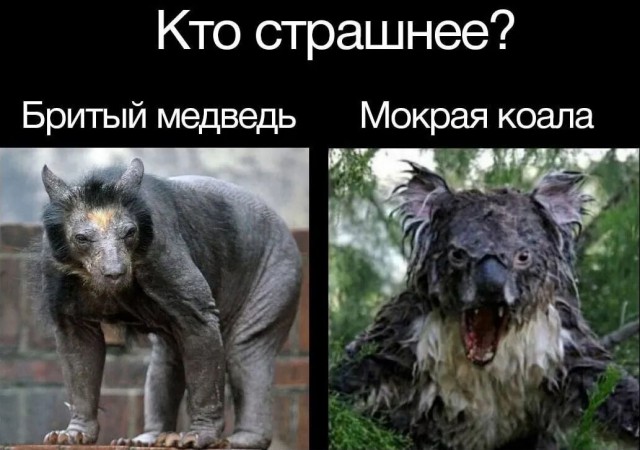 Завалялось тут случайно немного забавных картинок