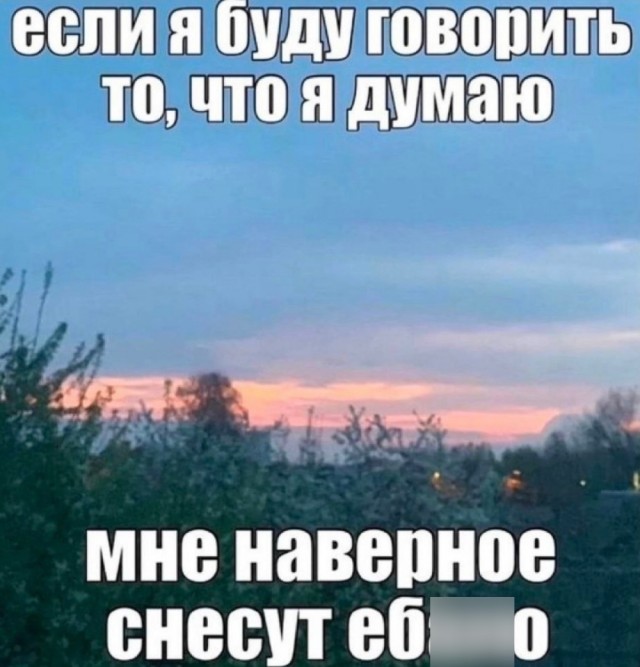 Весёлый полтишок 19.09.24