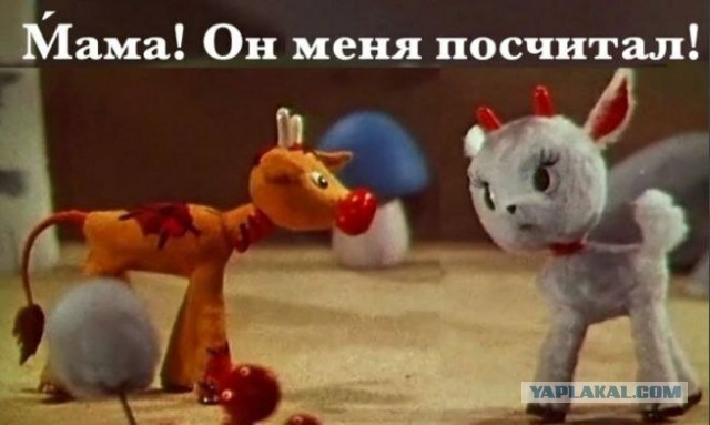Путин подписал закон о приостановке мониторинга численности населения до 2029 года