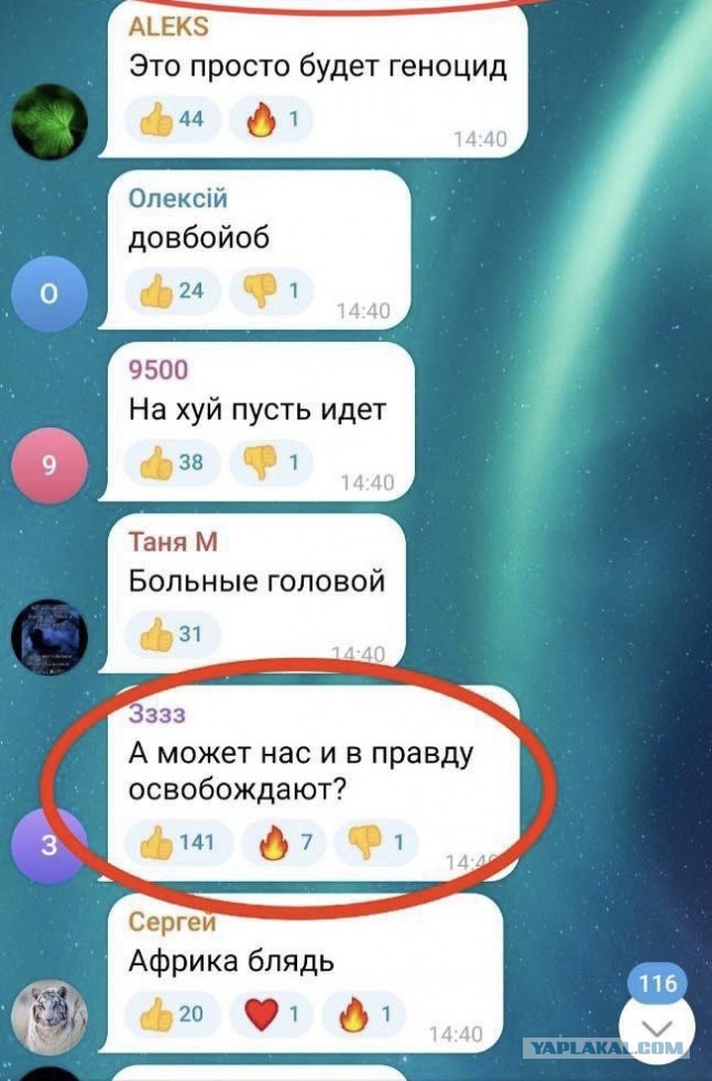 Командир ВСУ призвал «бить по хребту» украинских мужчин