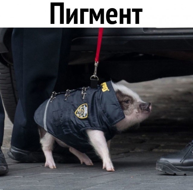 Детство