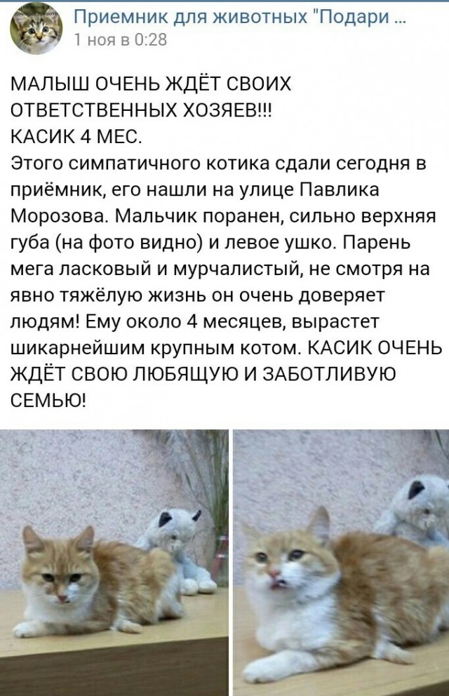 Мы подросли, прошло 3 месяца