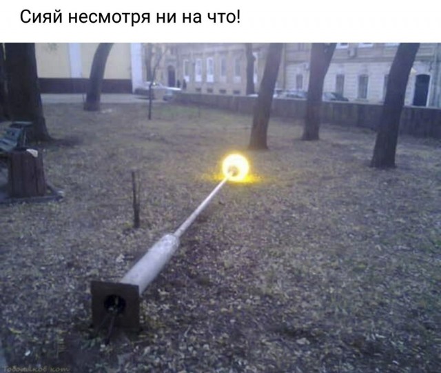 Весёлый полтишок 06.12.24