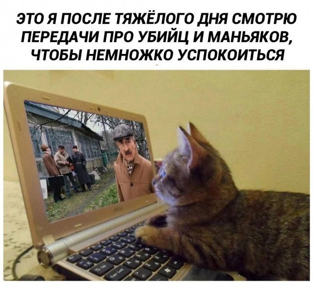 Весёлый полтишок 18.03.2025