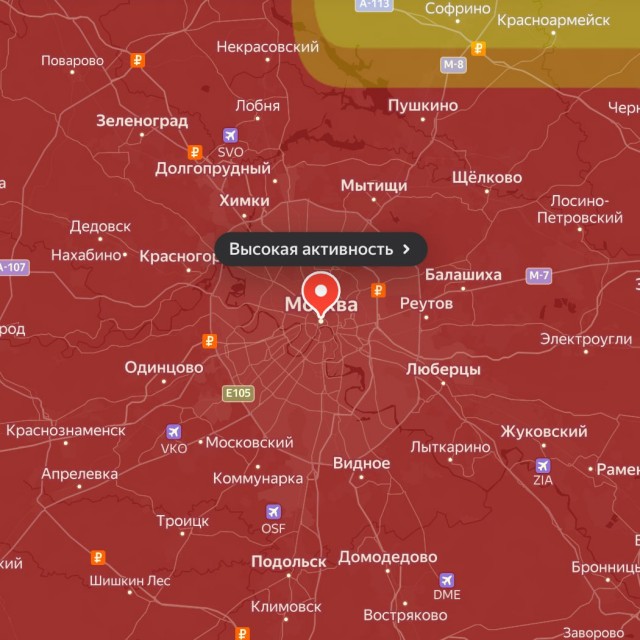 В 1000 раз превышена норма концентрации пыльцы берёзы в Москве, — аллергологи