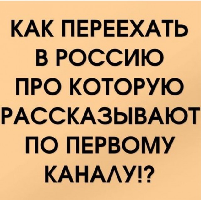 Смешные картинки с надписями и планы на лето 2025