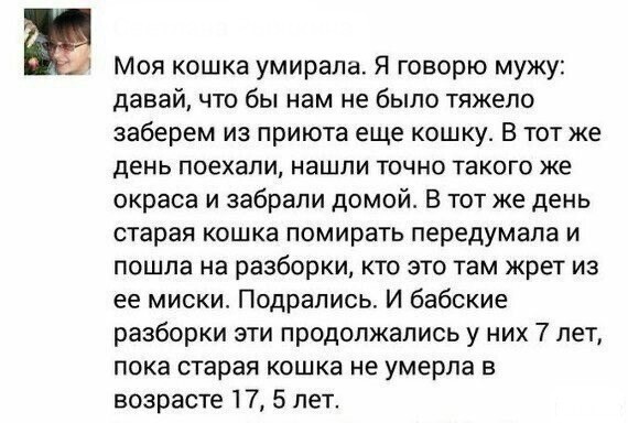 Бабские разборки