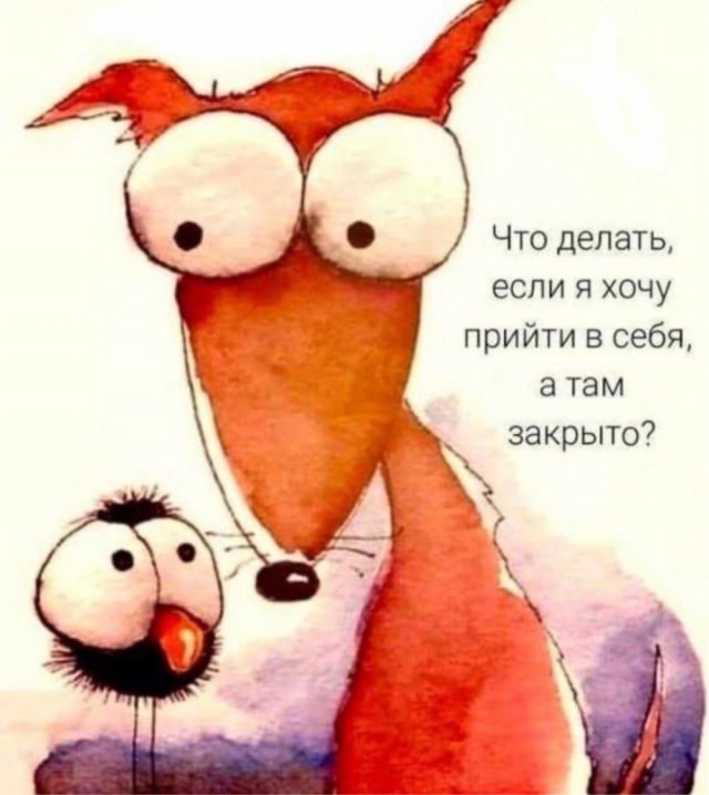 Прикольные и просто красивые картинки 18.07.2025
