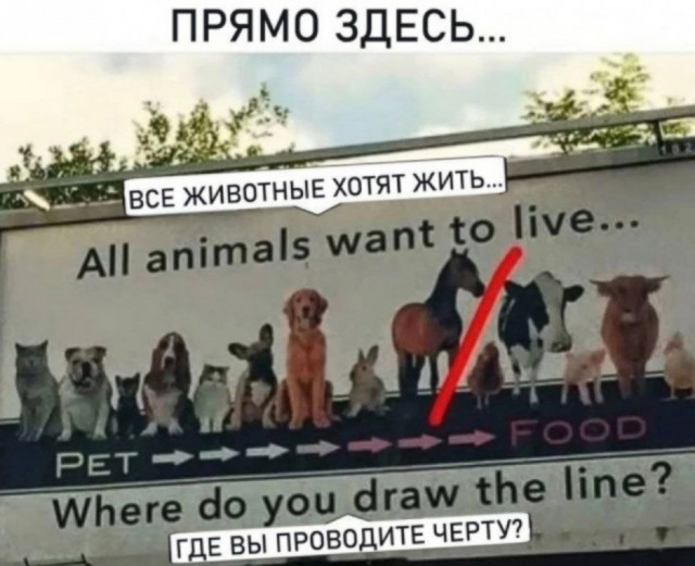Немного картинок 31.07.25