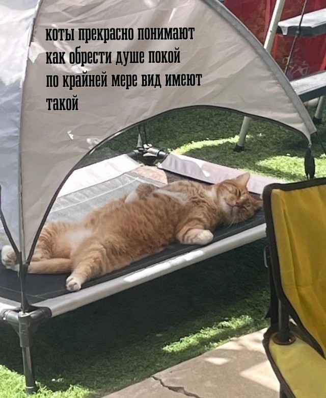 Картинки субботнего утра