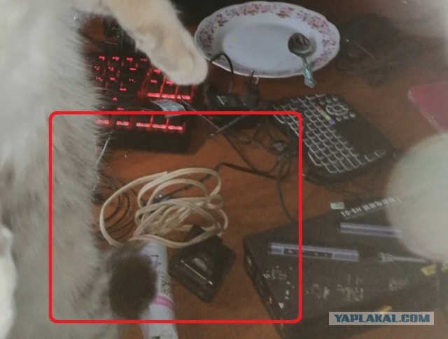 И вот что с ним делать за это?
