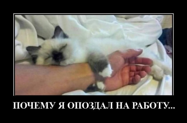 Чучуть картинок разных