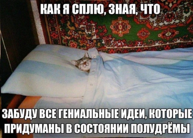 Небаянистая деградация 7