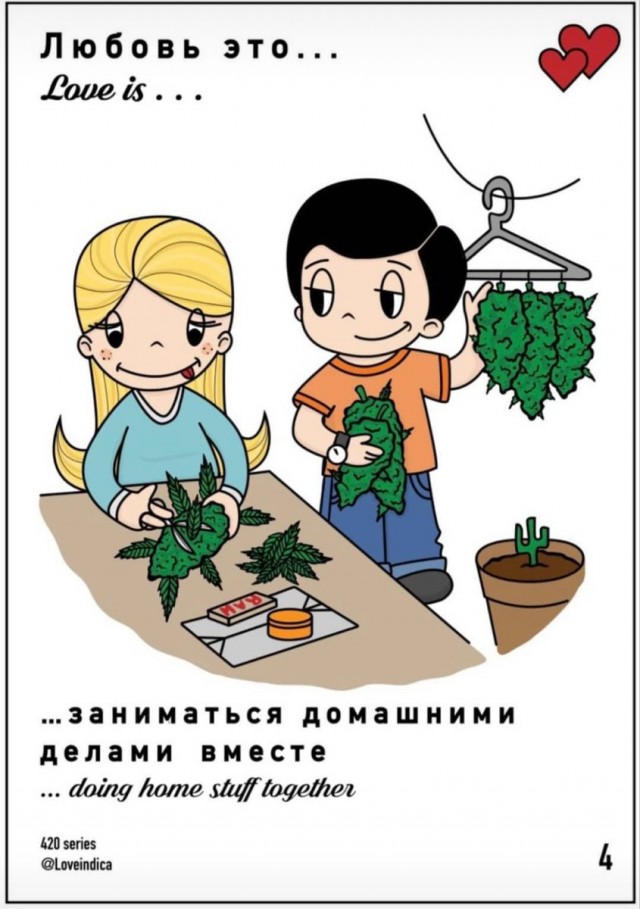 Прикольные и просто красивые картинки 17.11.2025