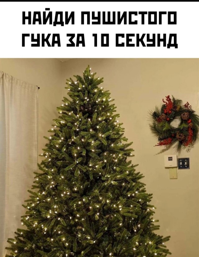 Веселые картинки в пятницу (16.01)