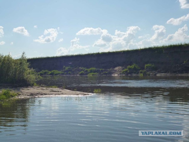 Сплав по реке Оке.