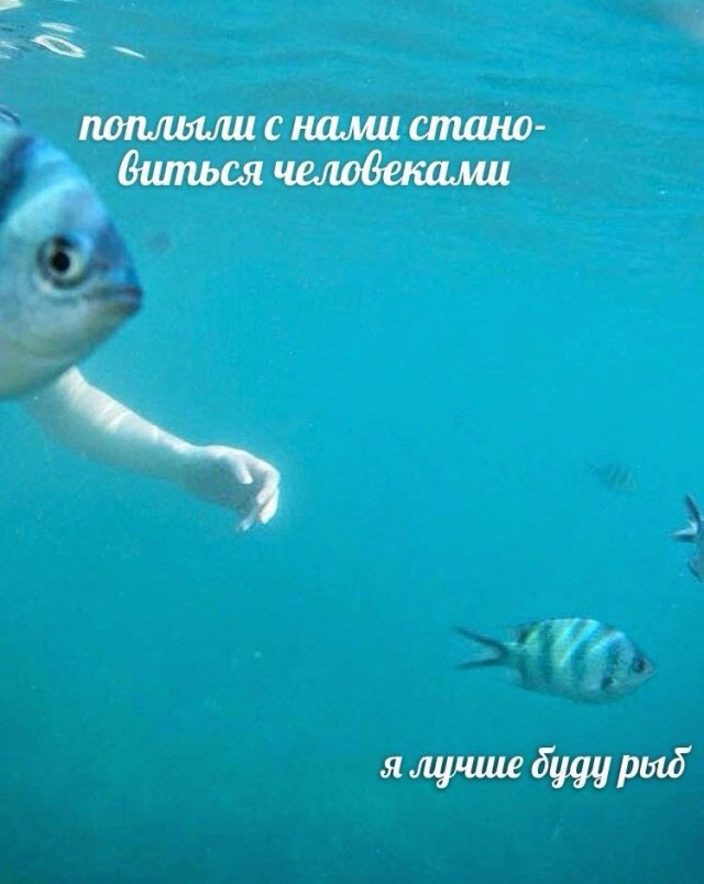 Картинки для деградации 145 (разной степени свежести)