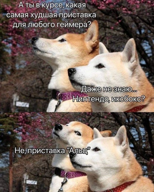 Картинки для деградации 286 (разной степени свежести)