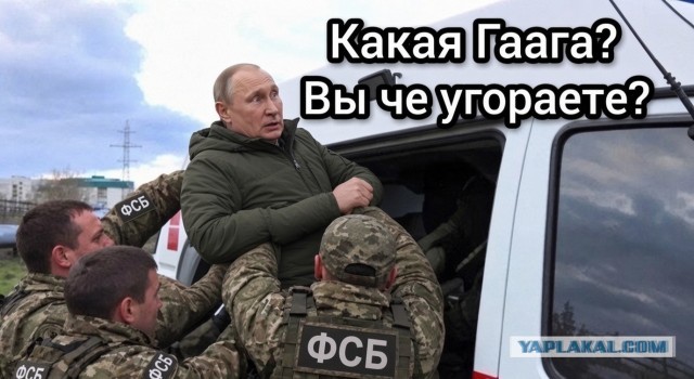 Прислали по факсу.