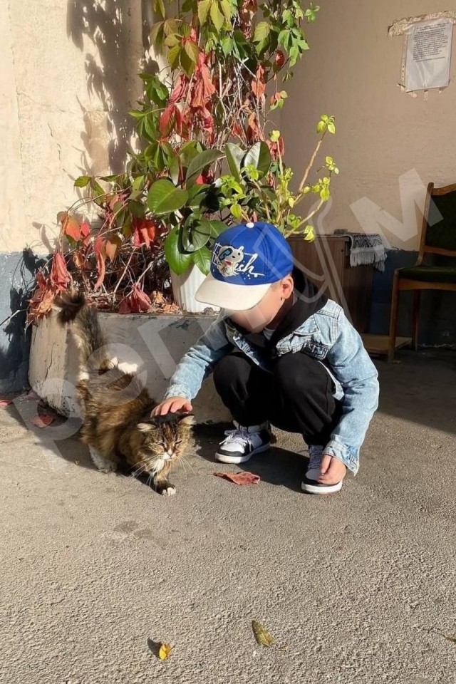 В Москве пожарные спасли из огня и реанимировали 17-летнюю кошку