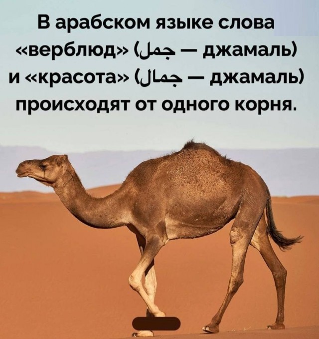 Греческие