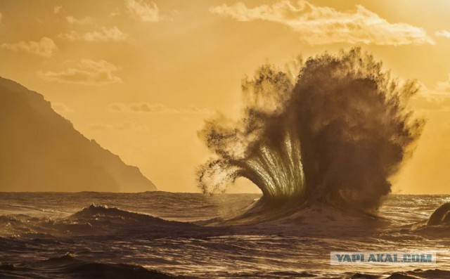 Лучшие фотографии National Geographic 2013.