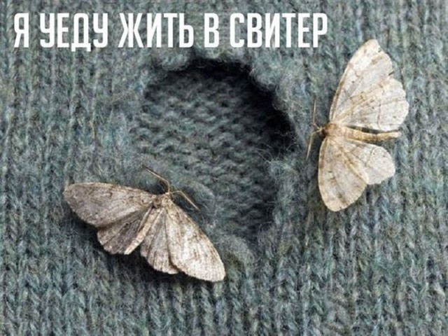 Веселые картинки