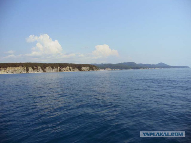 Рыбалка на Черном море, п.Новомихайловский
