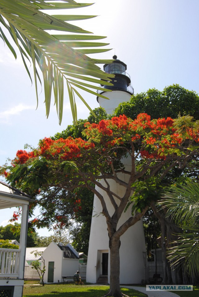 Каникулы во Флориде