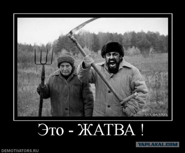 Смешные комментарии из социальных сетей 02.08.14