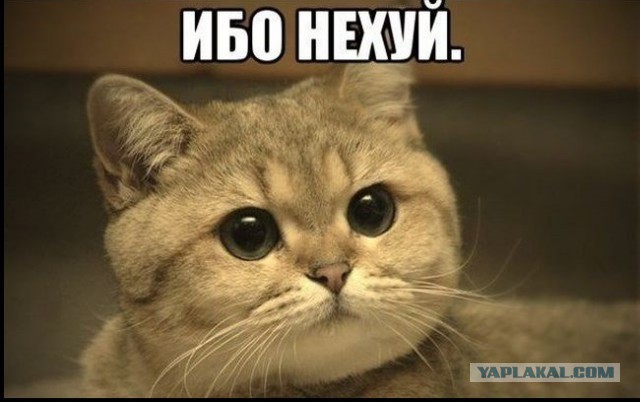 Учебный барк «Крузенштерн» потопил датский буксир